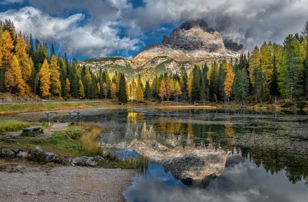 Фотография автора Журавлев Александр