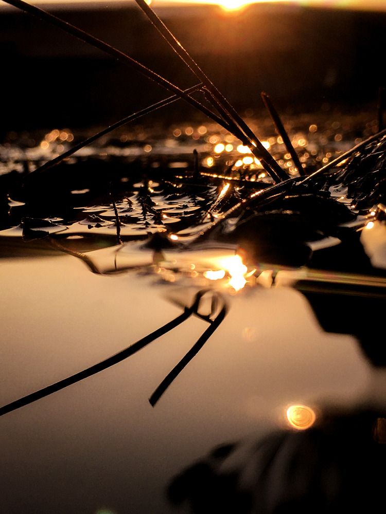 Photograph by Victor Baggio