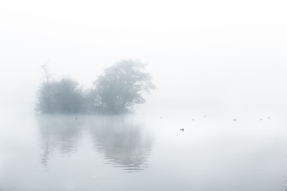 Фотография автора Оксана Мерзликина