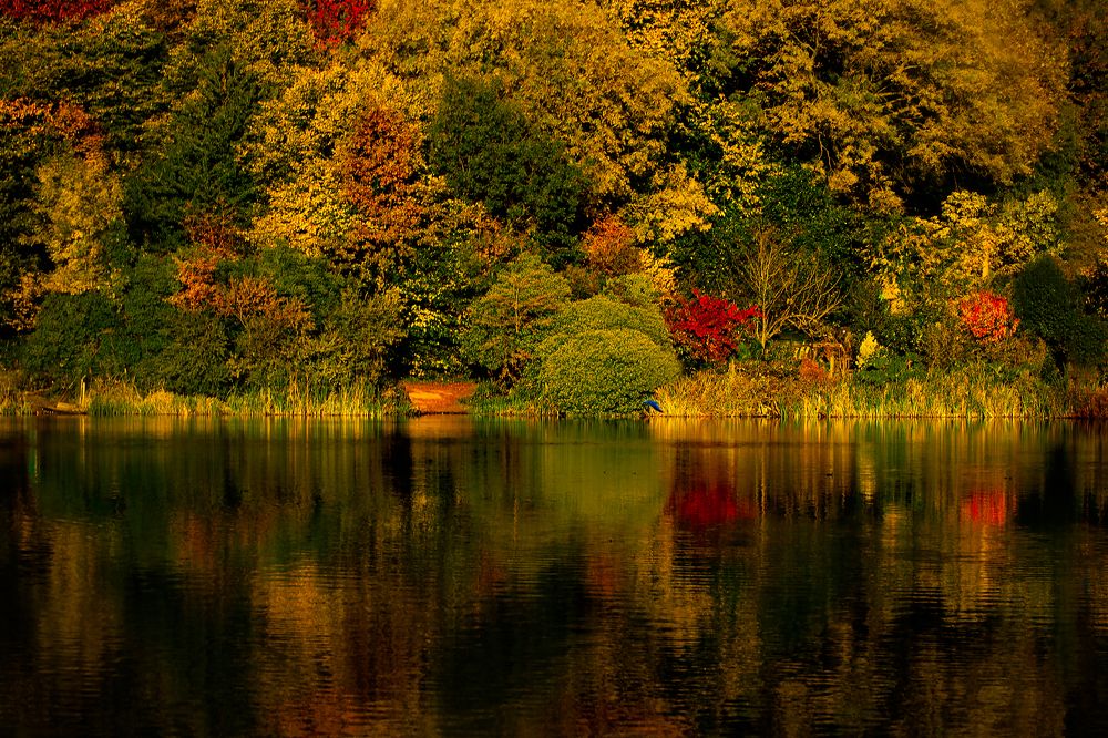 Фотография автора Оксана Мерзликина