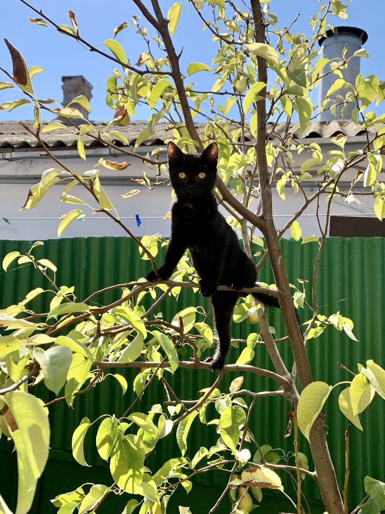 Photograph by Александра Тимошенко