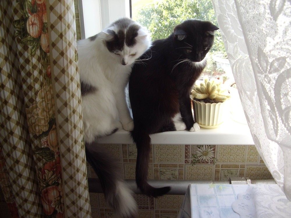 Фотография автора Ирина Лукьянчик