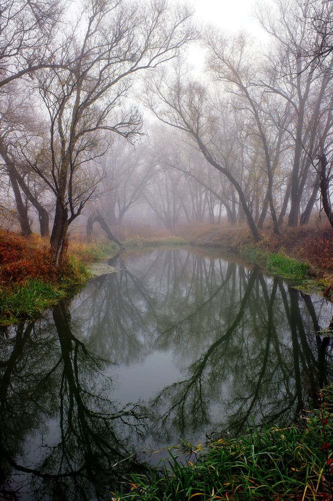 Photograph by Сергей Конюшенко