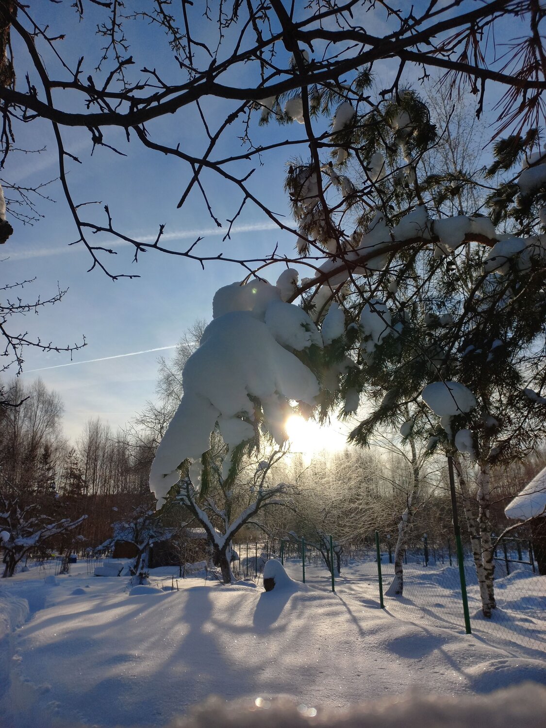 Photo #7051249
