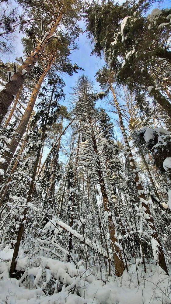 Photograph by Sergey Pluzhnik