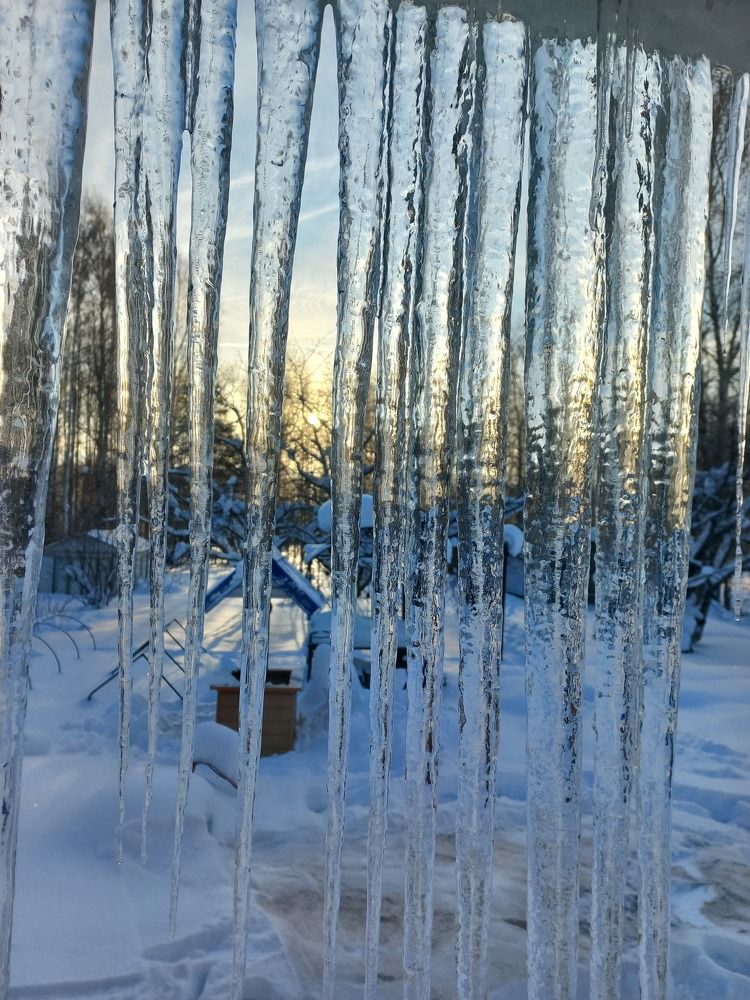 Photo #7051260