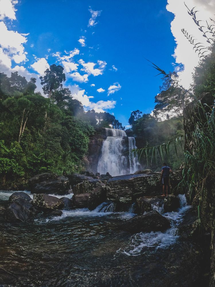 Look in to the nature