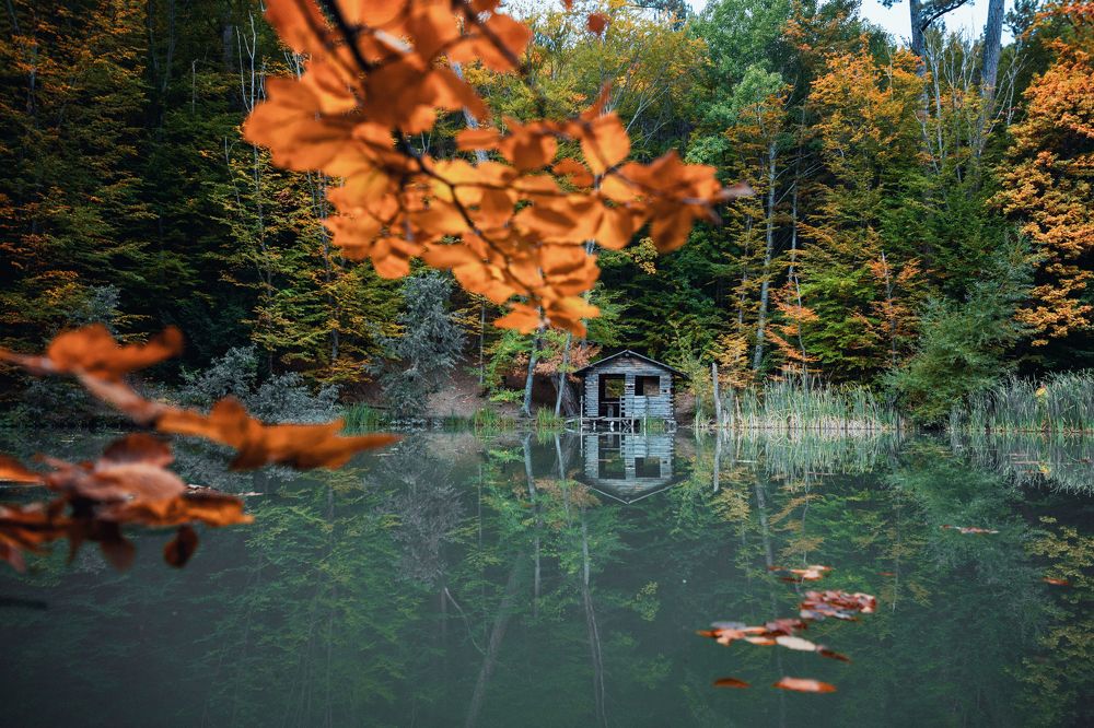 Photograph by EKATERINA WALTER