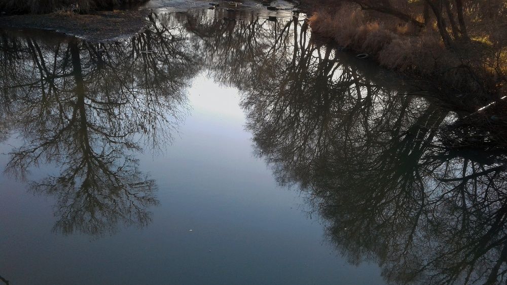 Photograph by Юлия Лихачева