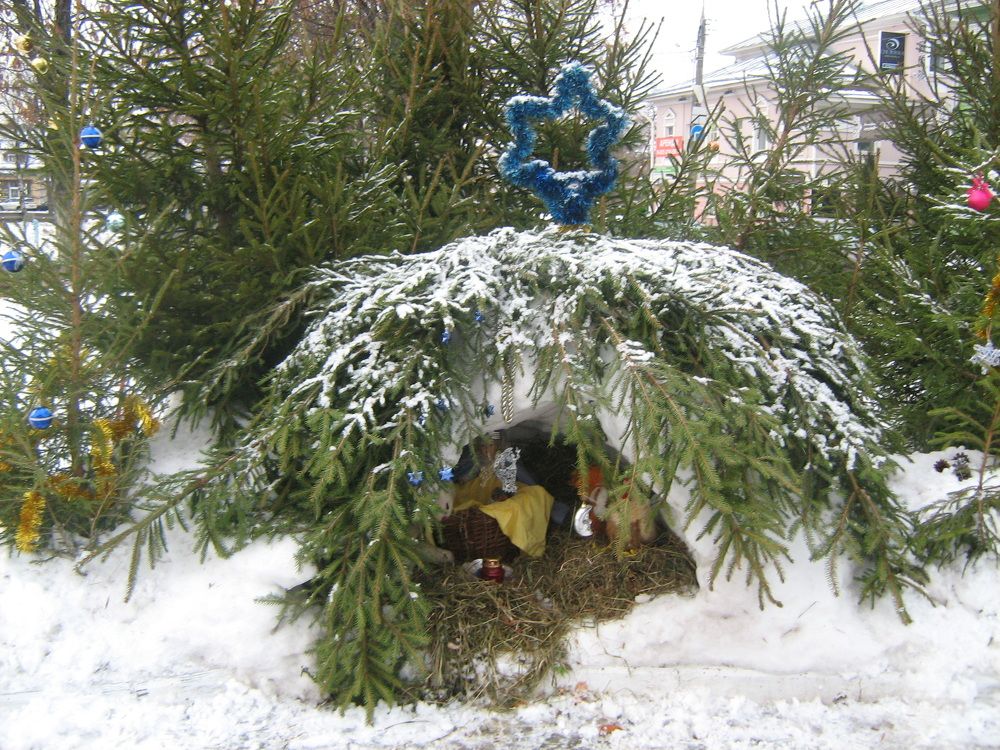Photo #7051474