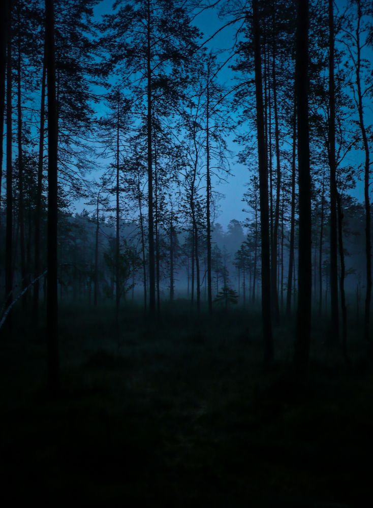 Photograph by Ubare Kelle