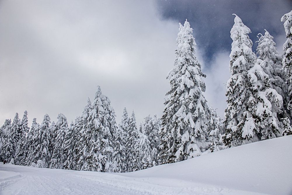 Photograph by Nesrin Ates