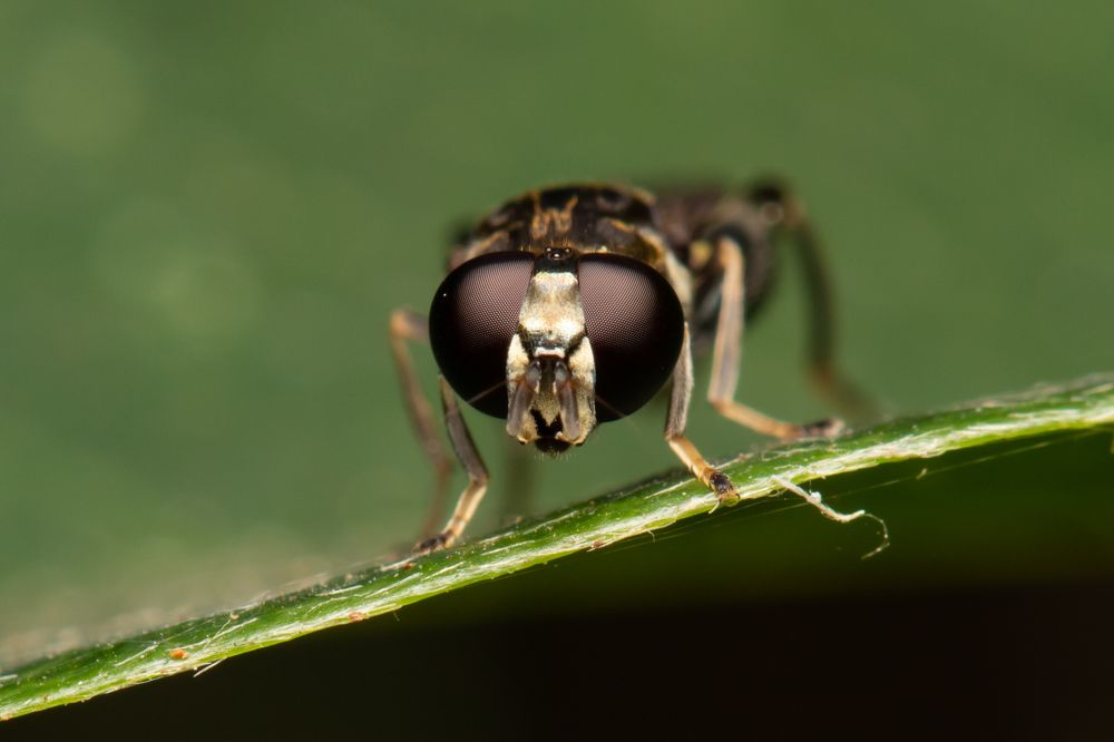 Photograph by MARÍA CECILIA REY