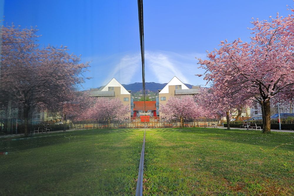 Фотография автора Alevtyna Ponamareva