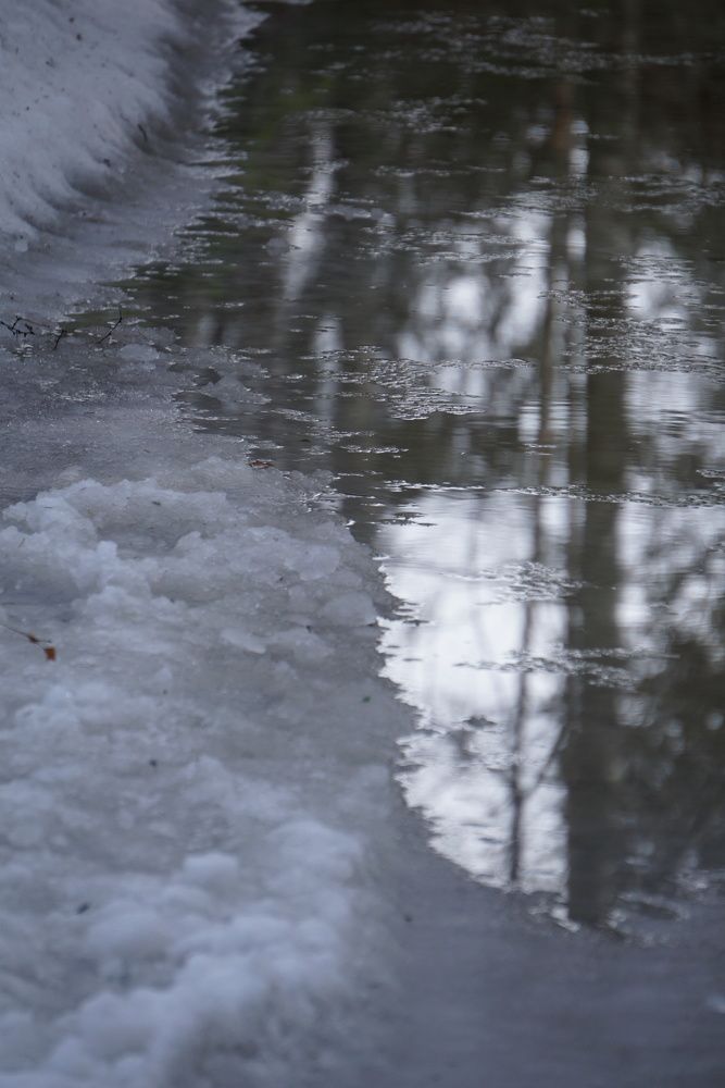 Photograph by NATALYA TOLSTOVA