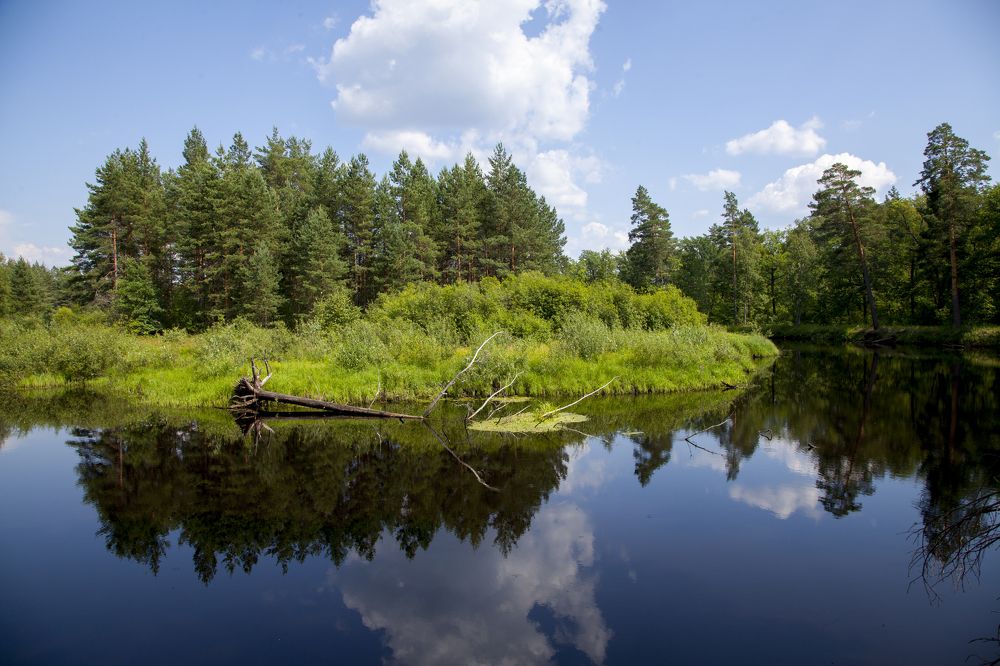 Photograph by Дмитрий Черепков
