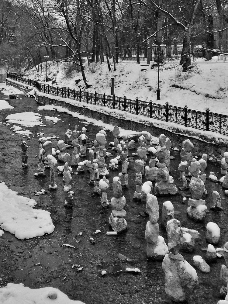 Камневики на прогулке.