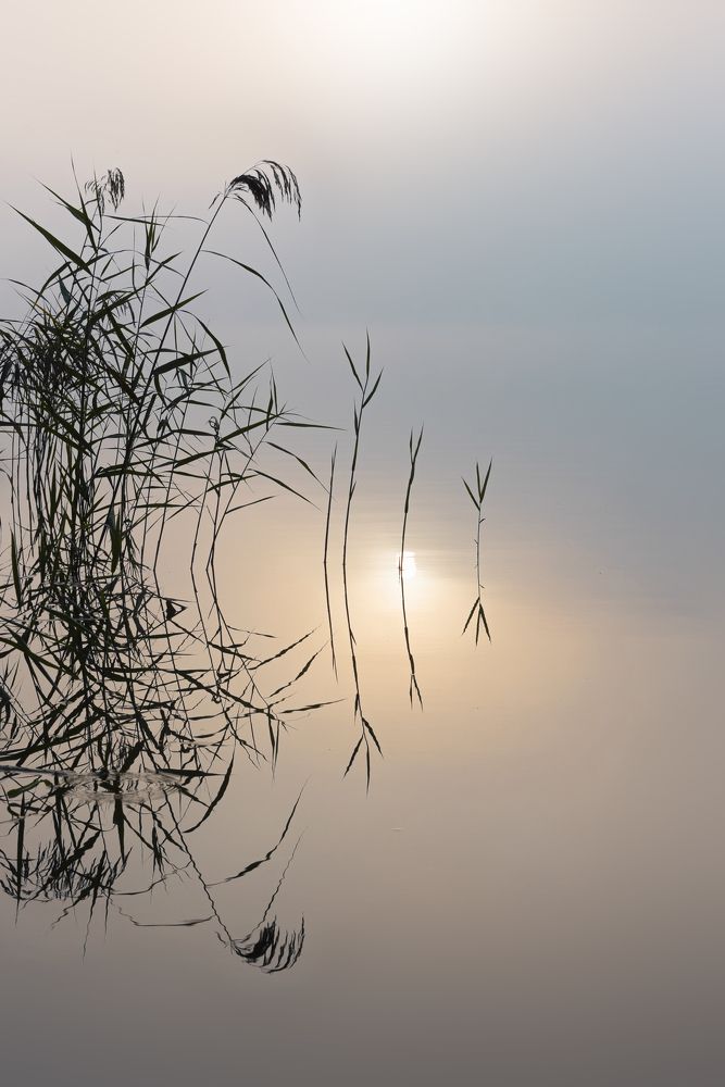 Photograph by Владимир Штыриков