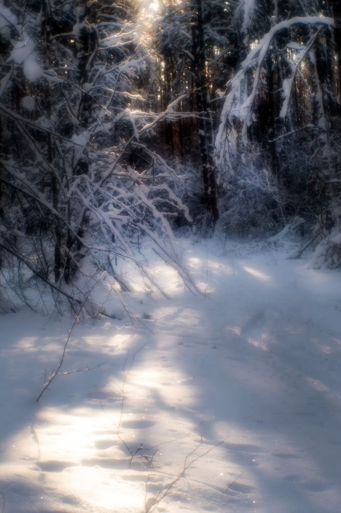 Photograph by Светлана