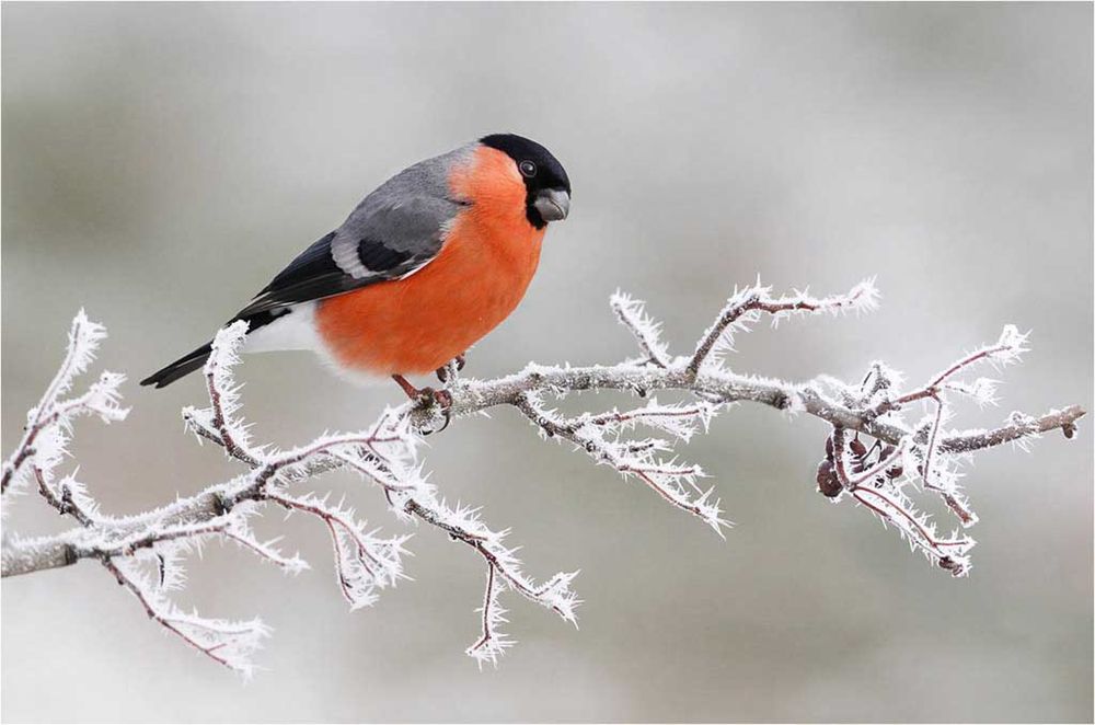 Фотография автора Татьяна Мазепова