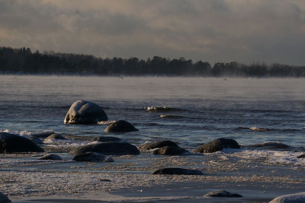 Photograph by NATALYA TOLSTOVA