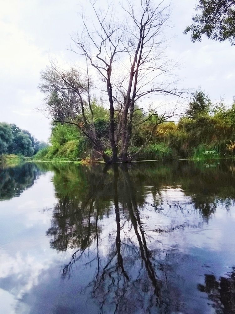 Photograph by Анна Пилипенко