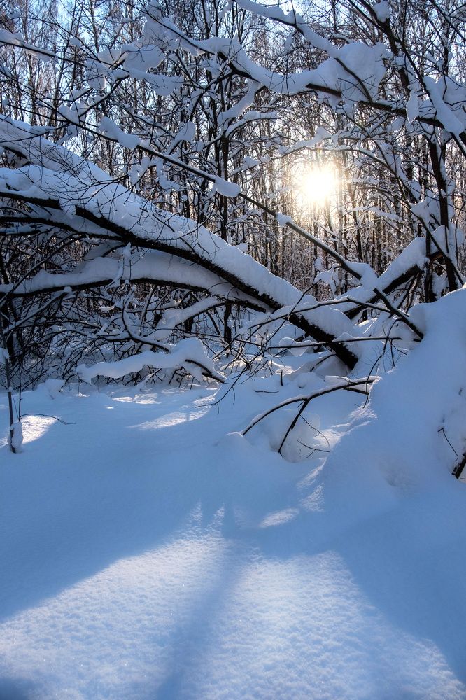 Photograph by Светлана