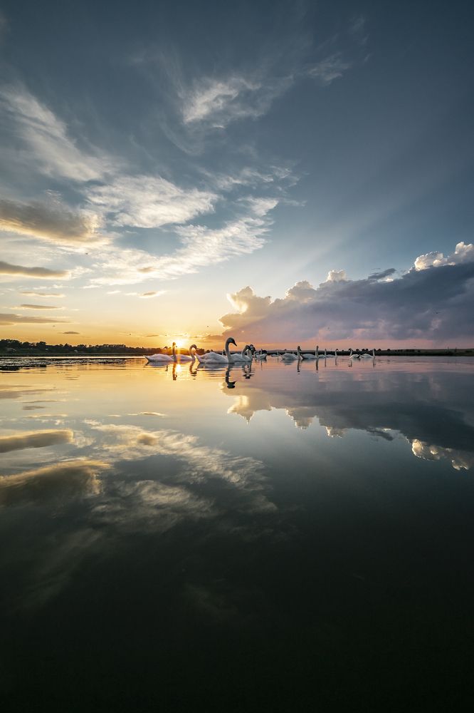 Photograph by Mihai Amariei