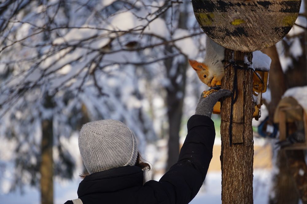 Photograph by Дмитрий Лобанов