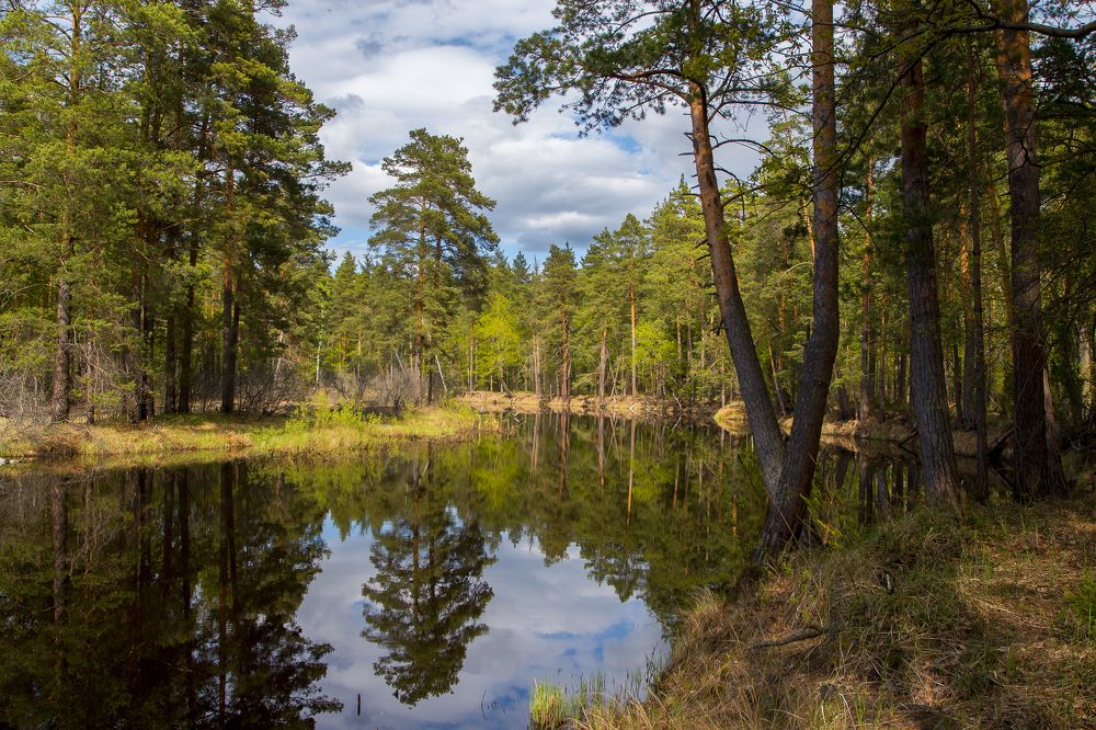 Photograph by Дмитрий Черепков