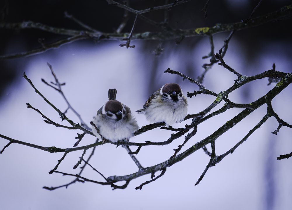 Photograph by Глеб Усаковский