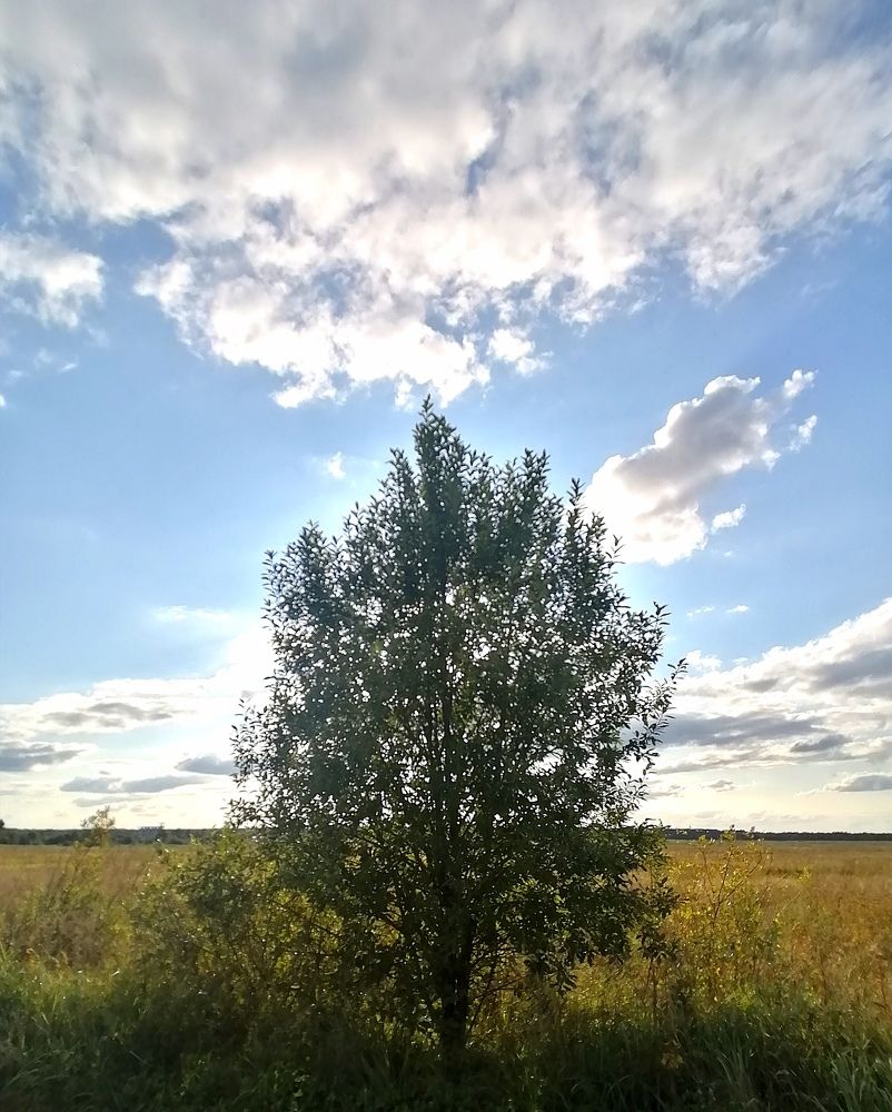 Photograph by Диана Грэске