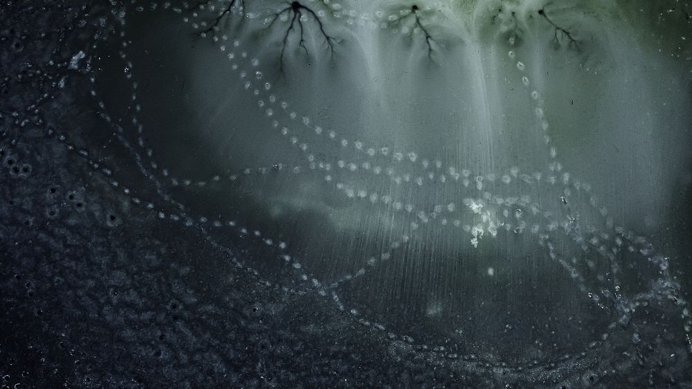 Photograph by Глеб Усаковский