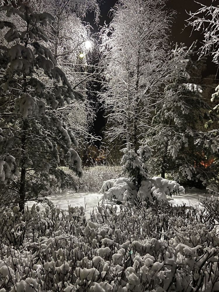 Photograph by Юлия Петракова