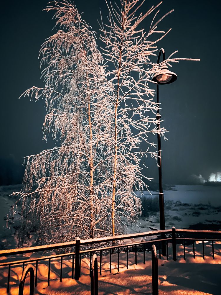 Photograph by Юлия Петракова