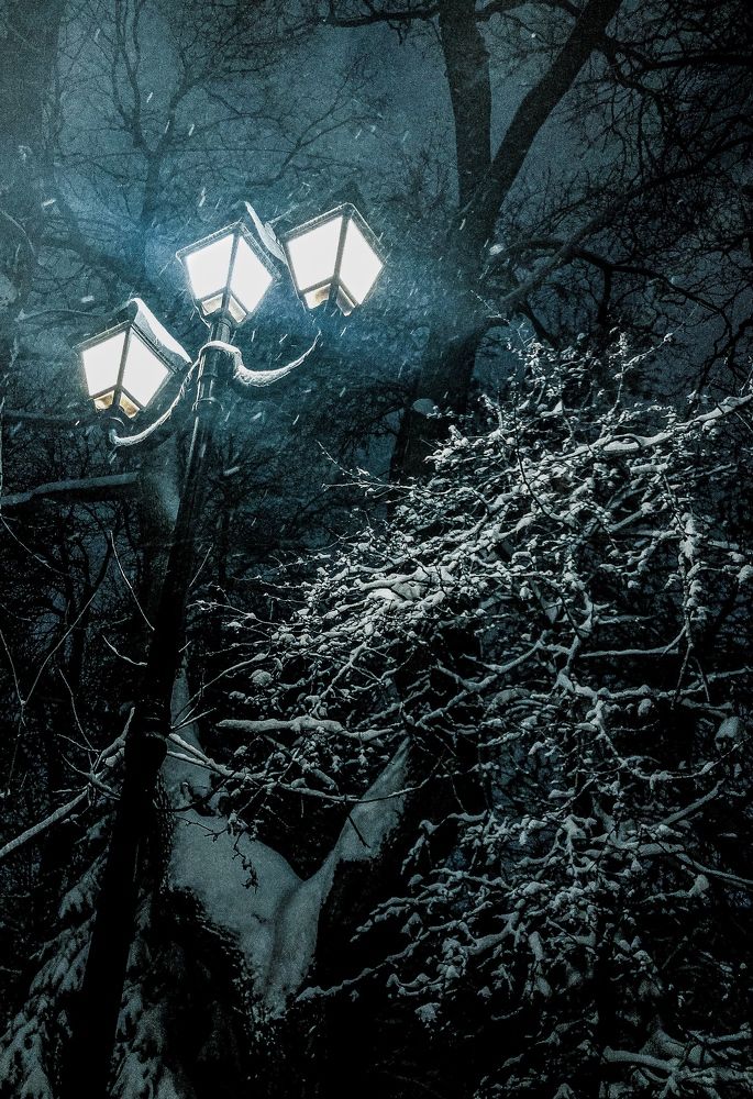 Photograph by Гордеева Ирина