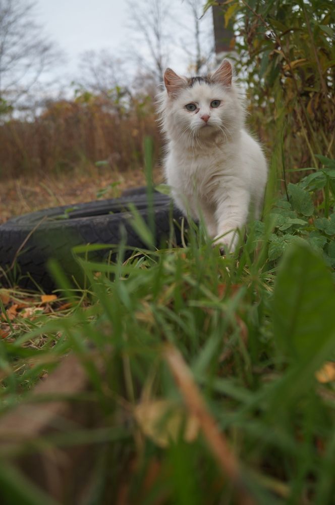 Photograph by Злата Иванченко