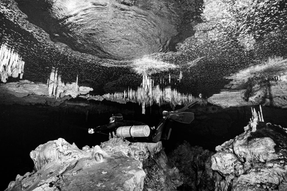 Photograph by Дмитрий Плотников