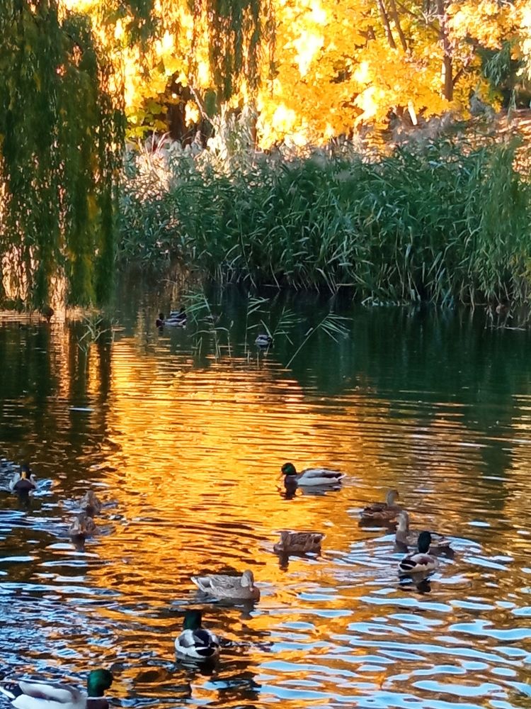 Фотография автора Олена Литвин