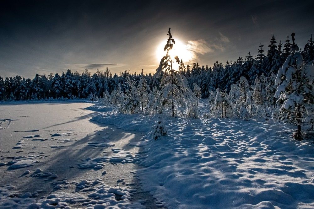 Photograph by Juris Livmanis