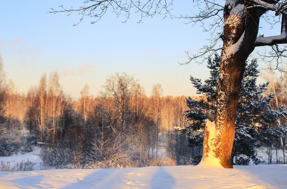 Photograph by Денис Копкин