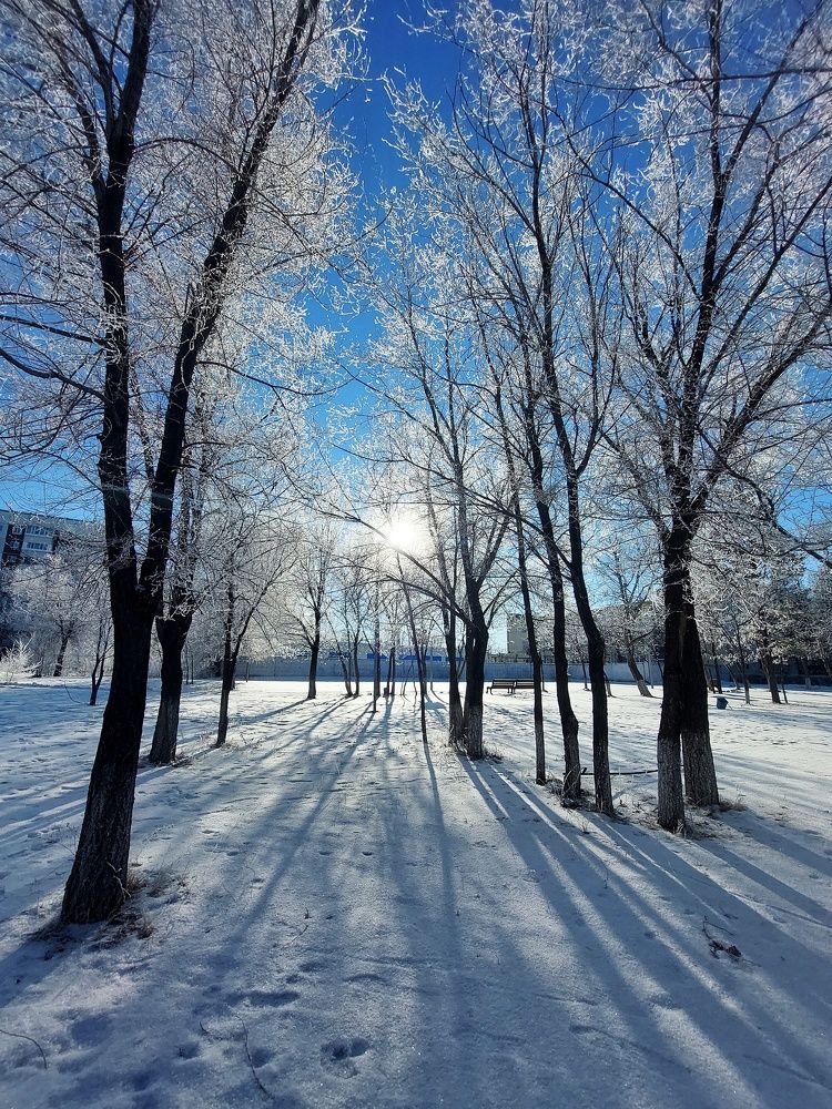 Photograph by Анастасия Койчина