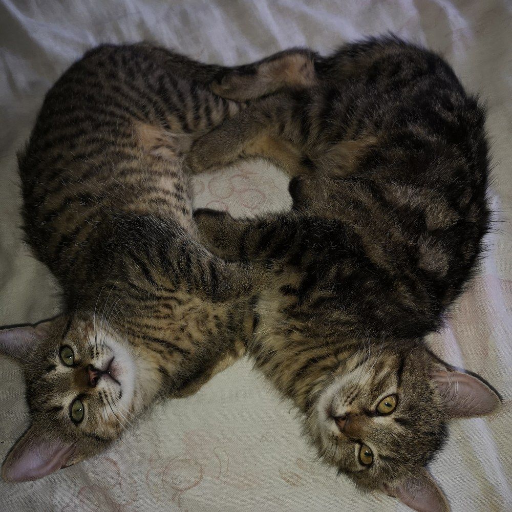 Photograph by Nikolett Mengyi