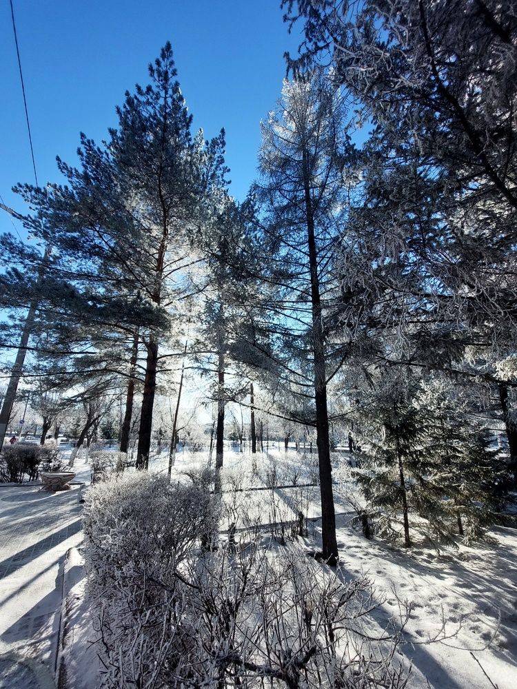 Photograph by Анастасия Койчина