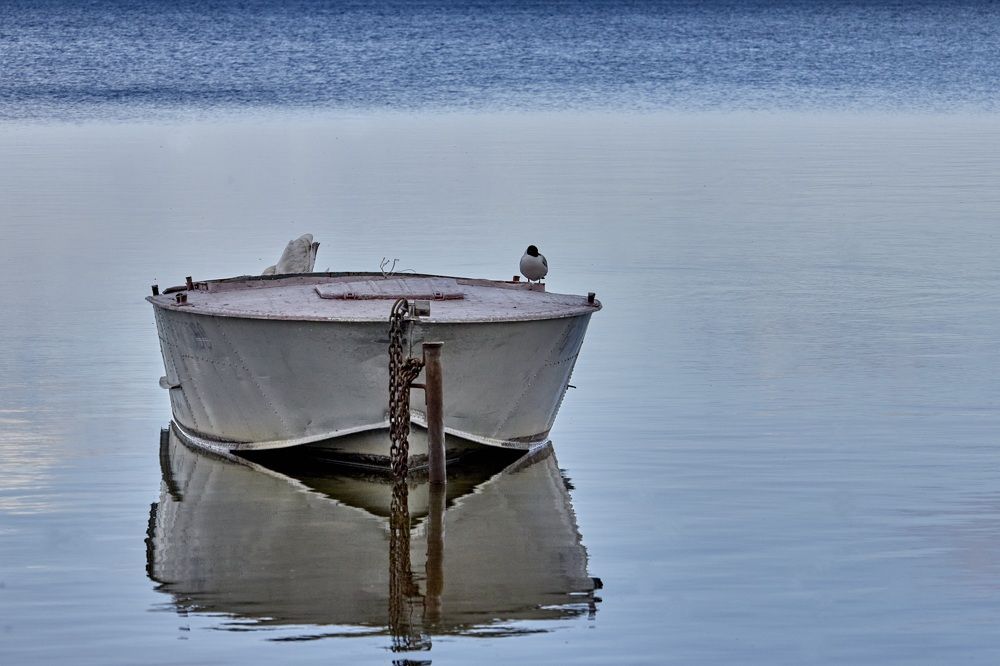 Photograph by Татьяна Полянская