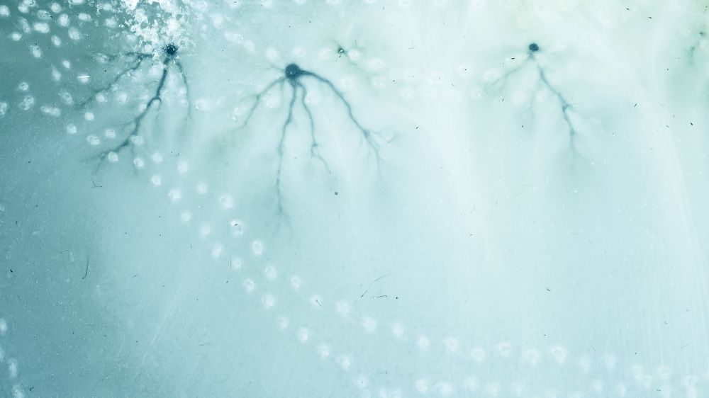 Photograph by Глеб Усаковский