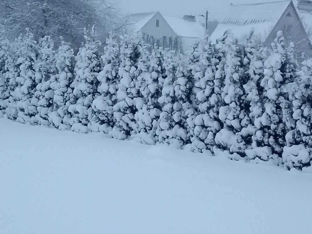 Photo #7052292