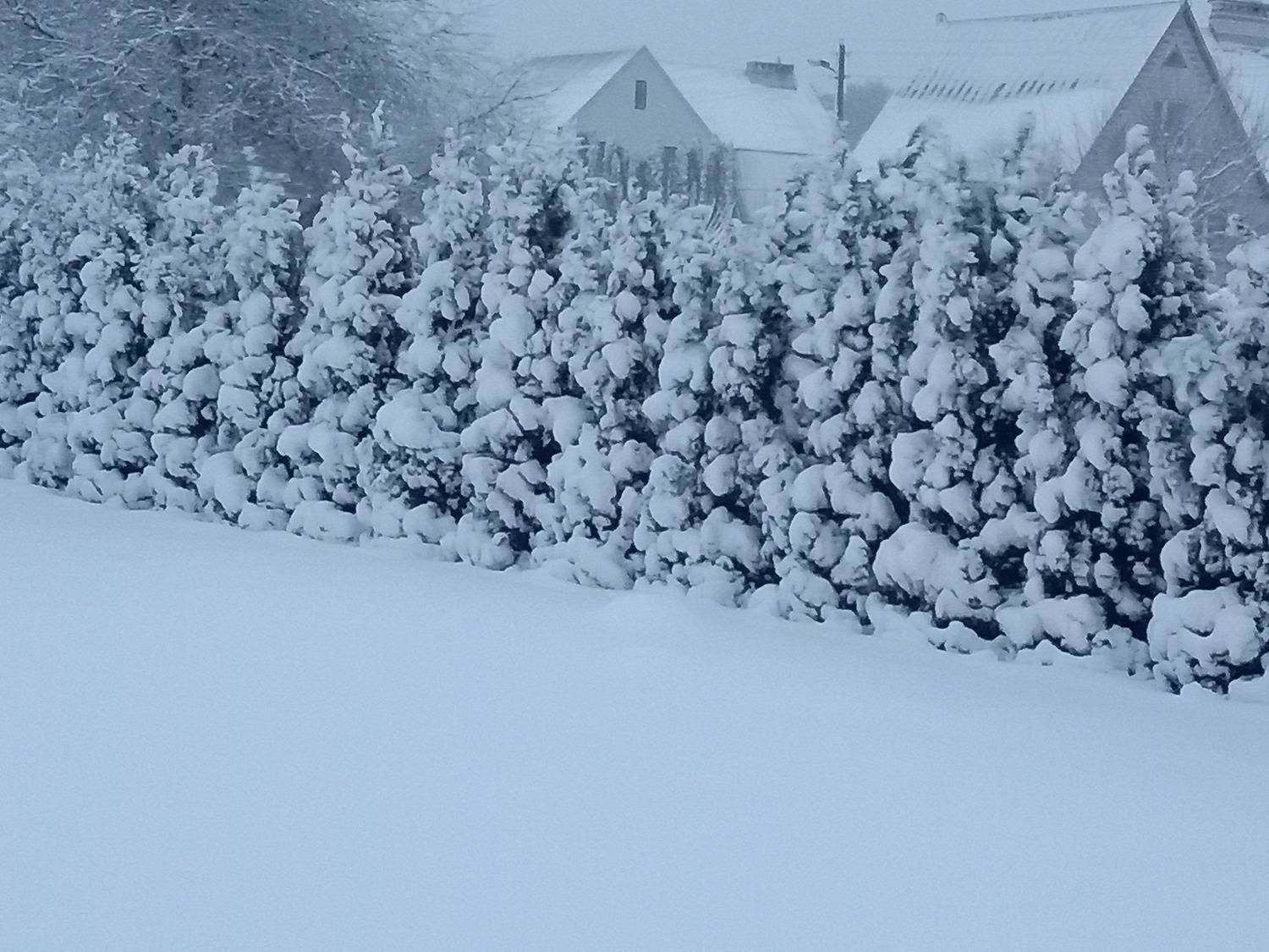 Photo #7052292