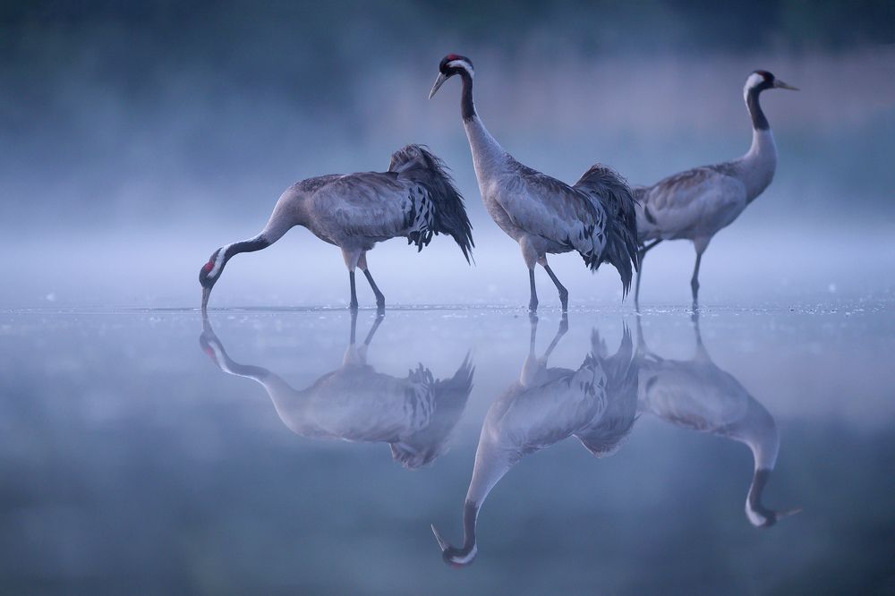 Photograph by Agnieszka Florczyk