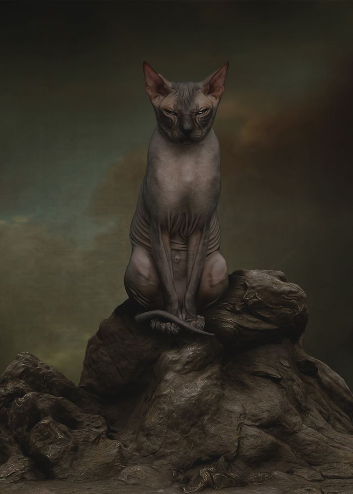 Photograph by Aldea Elena